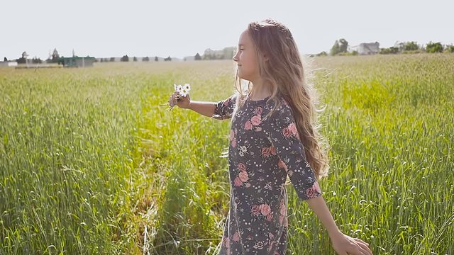 Little girl with a brown-haired is spinning on a field in a summer day with chamomile flowers in her hands. Luxurious and long beautiful hair.