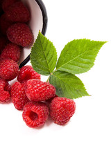 White cup with ripe raspberries and green leaf isolated on white background.