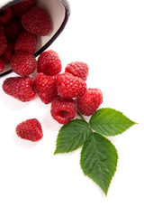 White cup with ripe raspberries and green leaf isolated on white background.
