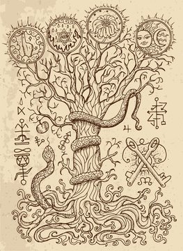 Mystic drawing with spiritual and christian religious symbols as snake, tree of knowledge and forbidden fruit on texture background