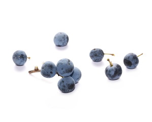 Fresh blackthorn berries isolated on white background