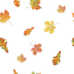 Fototapeta premium Seamless pattern with different autumn leaves. Oak, chestnut and maple leaves isolated on white background. Vector Illustration