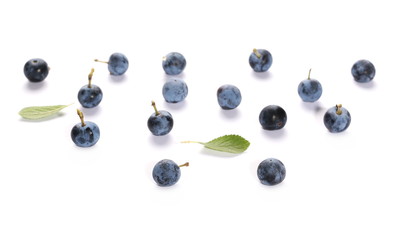 Fresh blackthorn berries isolated on white background