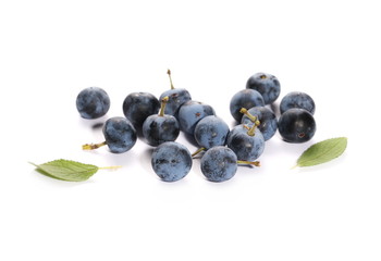 Fresh blackthorn berries pile isolated on white background