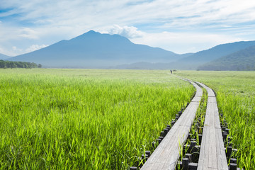 尾瀬・尾瀬ヶ原・夏の光景