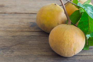 Santol with limb and leaf on rustic wood table. Santol is one of delicious Thai fruit so sweet and sour. Fresh santol on wooden plank with copy space for background or wallpaper.