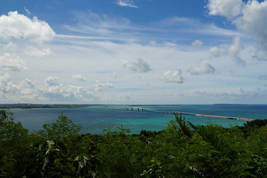 俊也 市万田 Photos Images Assets Adobe Stock 俊也 市万田 Photos Images Assets Adobe Stock