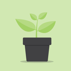 Small tree icon. Cartoon illustration of small tree vector icon for web