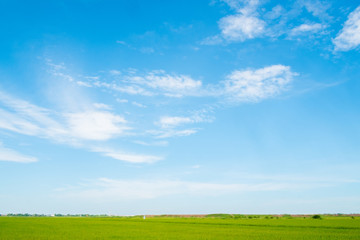 green field and blue sky