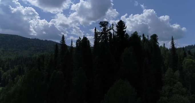Flight over a mountain forest