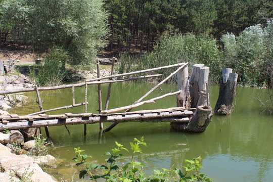 bridge wooden lake