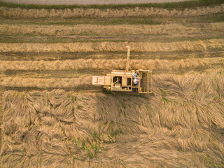 
Aerial view of a old combine harvester at the grain harvest - top view
