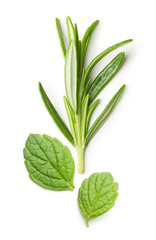 Obraz premium Rosemary twig and mint isolated