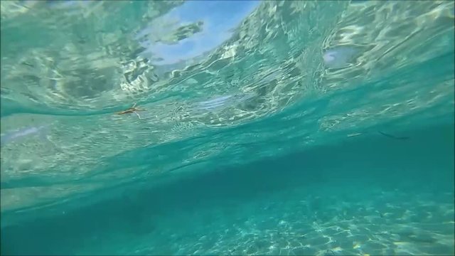 Sott'acqua