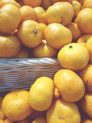 fruits in the basket