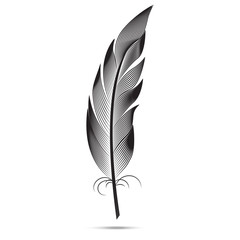 A large black and white feather. graphic arts