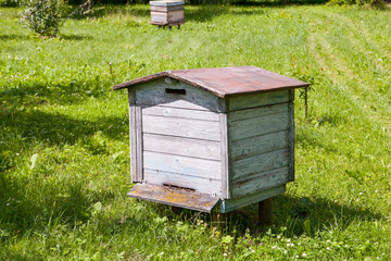 Old hive in meadow