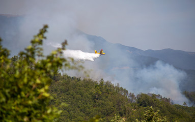 LA SPEZIA, ITALY AUGUST 3, 2017 - A canadair flying over a burning forest at the big fire near La Spezia, Liguria, Italy. © faber121