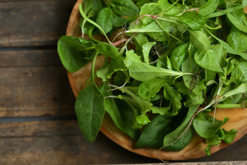 Fresh organic greens for salad