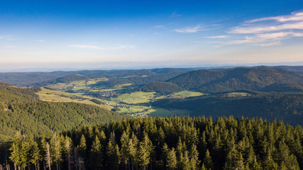 Herzogenhorn im Schwarzwald