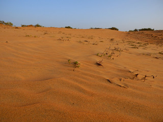 Fototapeta na wymiar african desert close up