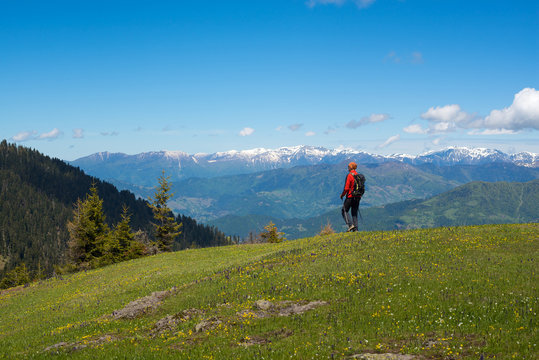 Adventurer goes through the alpine meadow