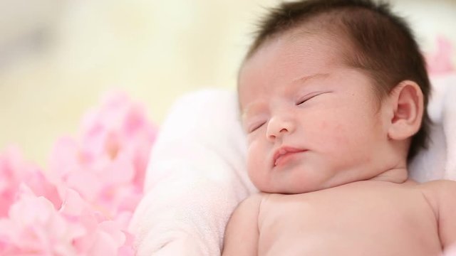 Newborn baby peacefully sleeping with pink flower around.
