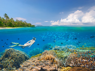 Snorkeler swims over a beautiful coral reef next to picturesque tropical beach near the island of Sulawesi, Indonesia a view under the water and above it.