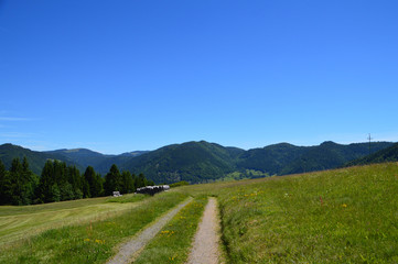 Idyllischer Feldweg mit Bergen im Hintergrund