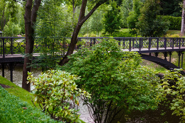 Pedestrian bridge over the river in the park/Small iron bridge across the river