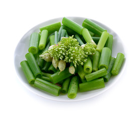 onion flower  isolated in white plate on white background