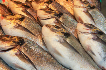 Fresh fish in the fresh market or supermarket