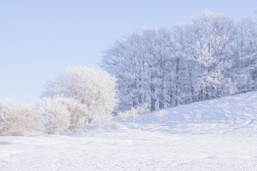 Winterland Skåne