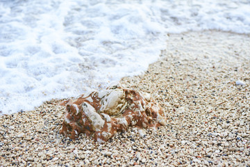 Ocean Waves against the rock. Sea wave foam on the pebble stone beach. Sea water splash by wave on the stone beach background. Closeup of waves on the beach