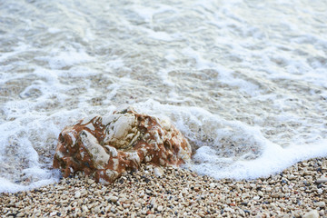 Ocean Waves against the rock. Sea wave foam on the pebble stone beach. Sea water splash by wave on the stone beach background. Closeup of waves on the beach