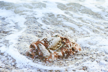 Ocean Waves against the rock. Sea wave foam on the pebble stone beach. Sea water splash by wave on the stone beach background. Closeup of waves on the beach