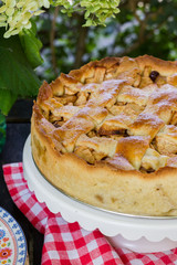 Traditional dutch apple pie. Wooden table in the garden. White and blue plates.
