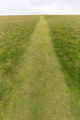 草原の道　 Road of the plateau