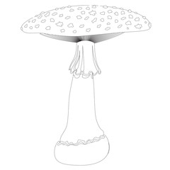Fly agaric mushroom in contour isolated on white background. Vector Illustration