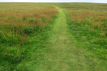 草原の道　 Road of the plateau