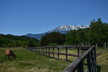 Fototapeta na wymiar 御嶽山　開田高原からの風景