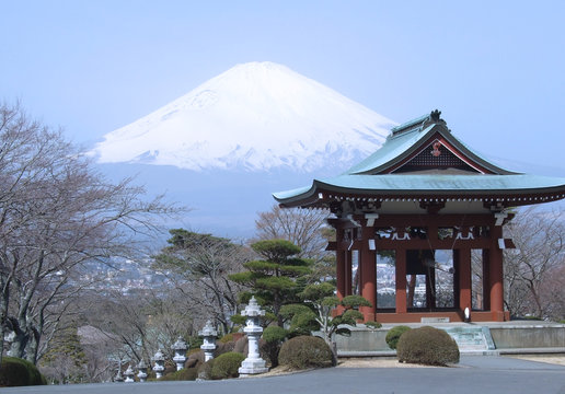 Sakura flower with blur mount Fuji and the background