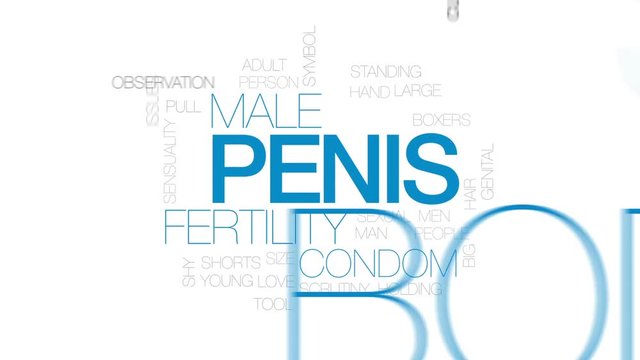 Penis animated word cloud, text design animation. Kinetic typography.