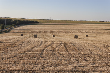 Fototapeta premium Several bales of hay