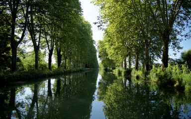 Fototapeta na wymiar canal latéral à la Garonne
