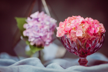 Petals of pink hydrangea put in a violet vase