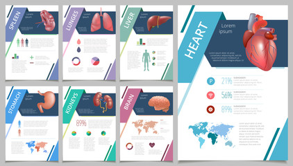 Internal human organs infographic spleen - obrazy, fototapety, plakaty