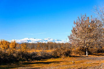 Fototapeta premium Bright colorful autumn landscape