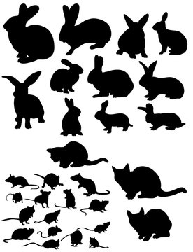 Vector, isolated silhouette of rat, cats and rabbits collection