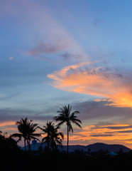 Fototapeta na wymiar Coconut palms silhouette on dramatic clouds sky sunset background.